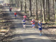 25donatuslauf288.jpg