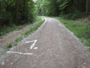 25huerth002.jpg