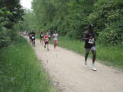 25huerth033.jpg