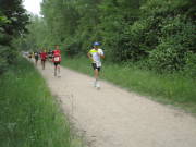 25huerth039.jpg