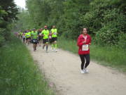 25huerth113.jpg