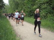 25huerth133.jpg