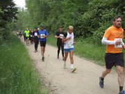 25huerth150.jpg