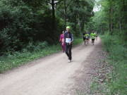 25huerth293.jpg