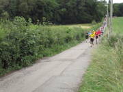 25hahn032.jpg