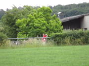 25hahn093.jpg