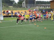 25hahn099.jpg