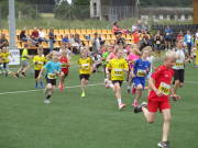 25hahn100.jpg