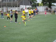 25hahn113.jpg