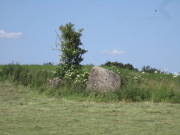25marmagen023.jpg