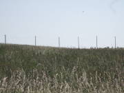 25marmagen025.jpg