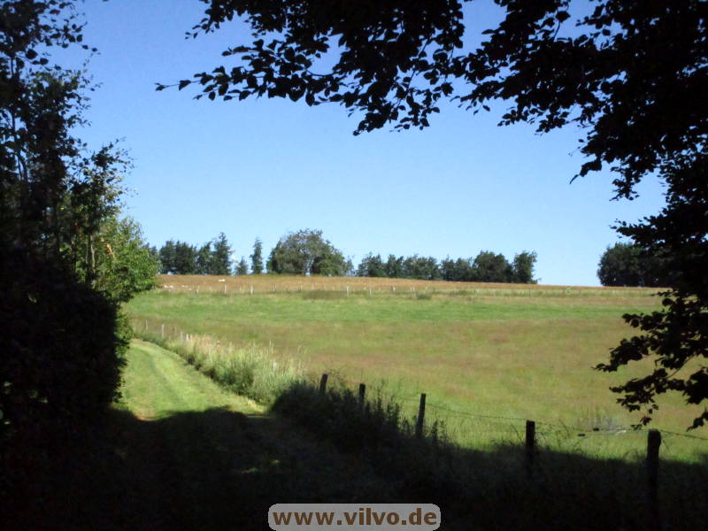 25steckenbornEiF005.jpg