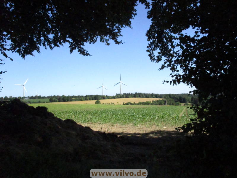 25steckenbornEiF008.jpg
