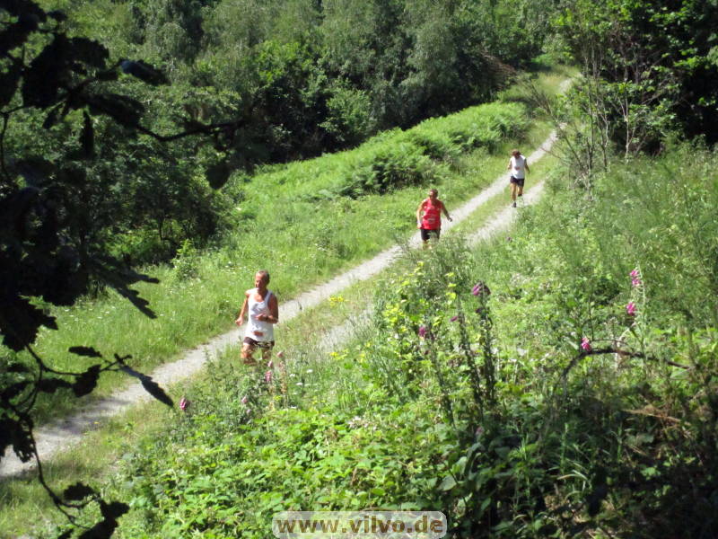 25steckenbornEiF179.jpg 25steckenbornEiF179.jpg