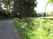25steckenbornEiF004.jpg