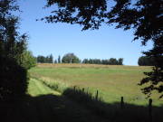 25steckenbornEiF005.jpg