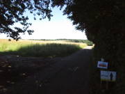 25steckenbornEiF006.jpg