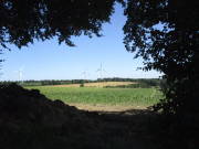 25steckenbornEiF008.jpg
