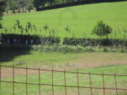 25steckenbornEiF009.jpg