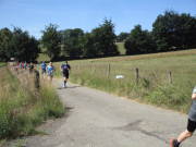 25steckenbornEiF020.jpg