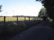 25steckenbornEiF063.jpg
