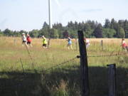 25steckenbornEiF064.jpg