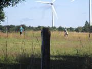 25steckenbornEiF065.jpg