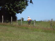 25steckenbornEiF067.jpg