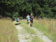 25steckenbornEiF081.jpg