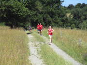 25steckenbornEiF094.jpg