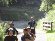 25MOMA500.jpg