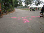 25montesophia012.jpg