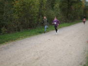 25hambachwald009.jpg