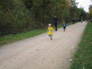 25hambachwald010.jpg