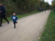 25hambachwald011.jpg