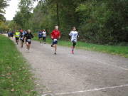 25hambachwald017.jpg