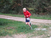 25hambachwald022.jpg