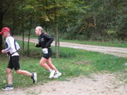 25hambachwald023.jpg
