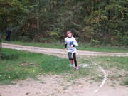 25hambachwald025.jpg