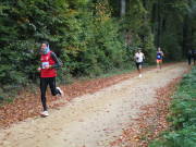 25hambachwald032.jpg