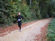25hambachwald035.jpg