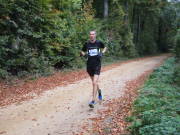 25hambachwald037.jpg