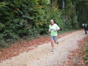 25hambachwald043.jpg