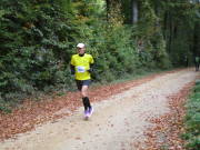 25hambachwald045.jpg