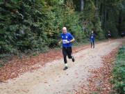 25hambachwald047.jpg