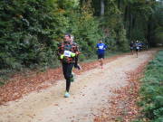 25hambachwald050.jpg