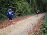 25hambachwald051.jpg