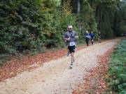 25hambachwald052.jpg