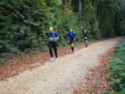 25hambachwald053.jpg