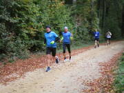 25hambachwald057.jpg